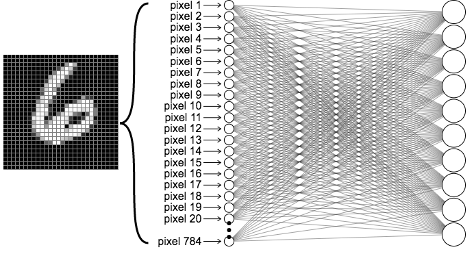 Looking inside neural nets